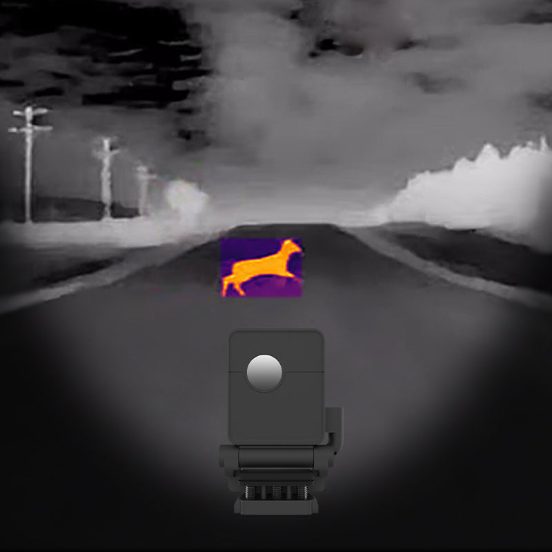 What Animal Cannot Be Detected by Infrared?