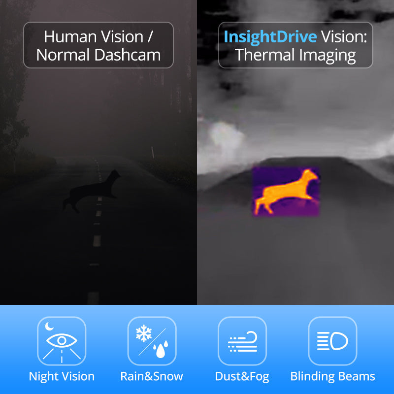 Thermal imaging car camera