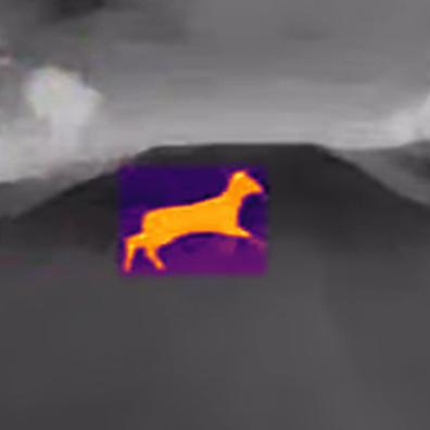 Car Thermal Night Vision Camera