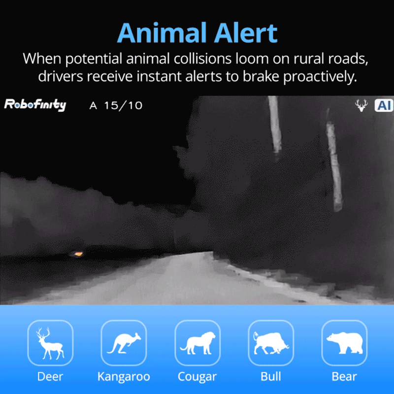 Car Thermal Camera with Pedestrian