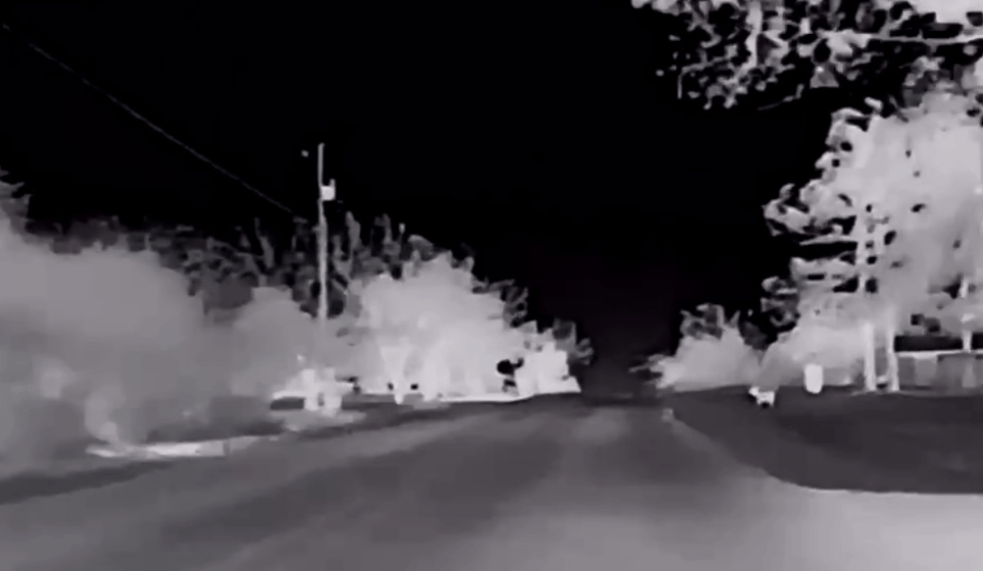Why Deer Detection Systems Matter for Drivers in Europe and America