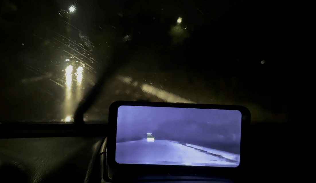 What to Do When You Encounter Wildlife While Driving at Night