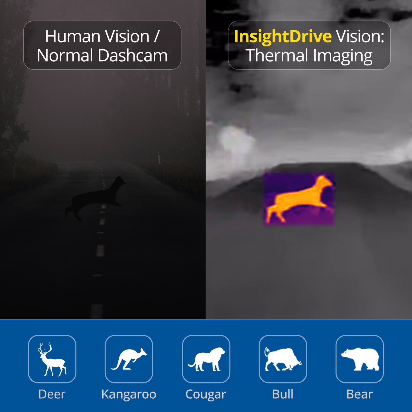 Car Thermal Night Vision | Next-Gen Animal Collision Alert System | Robofinity