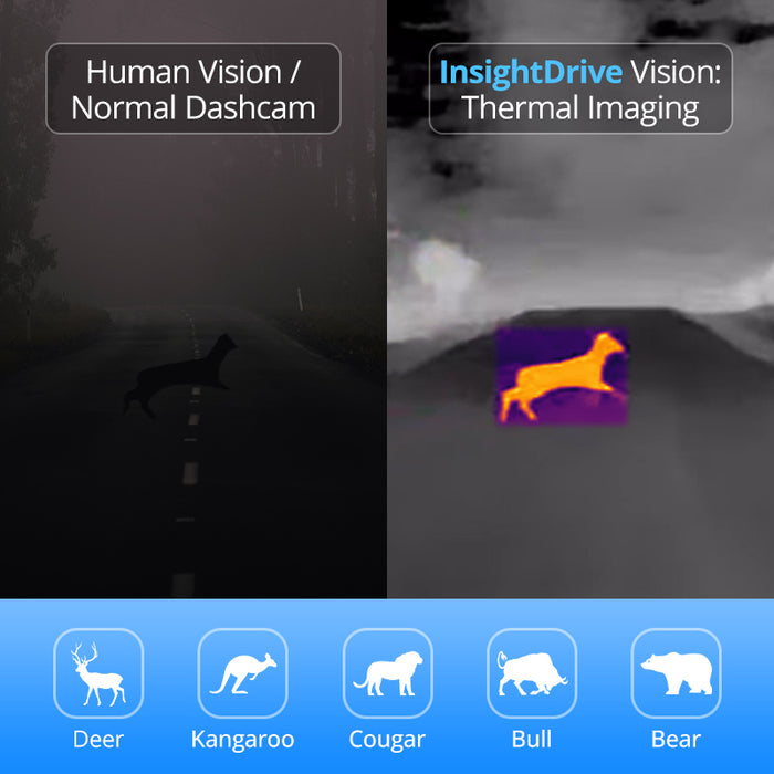 Car Thermal Night Vision | Collision Avoidance & Wildlife Alert System